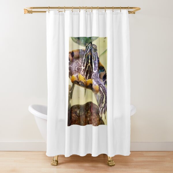 Red-eared Slider Turtle Shower Curtain for Sale by CarolM