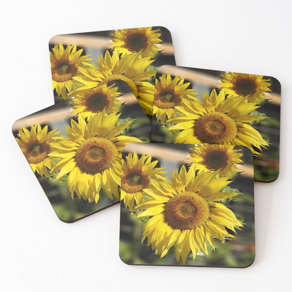 Item preview, Sunflower designed and sold by AussieAl.