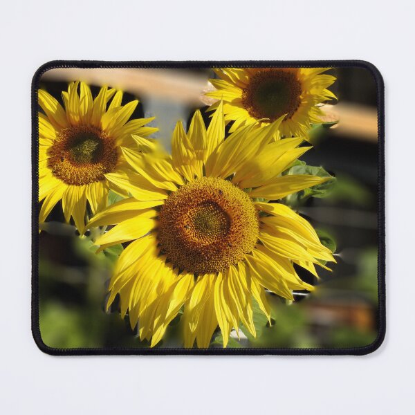Item preview, Sunflower designed and sold by AussieAl.