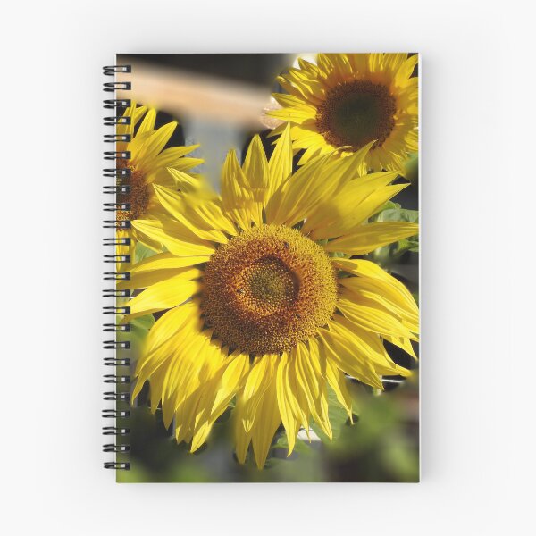 Item preview, Sunflower designed and sold by AussieAl.