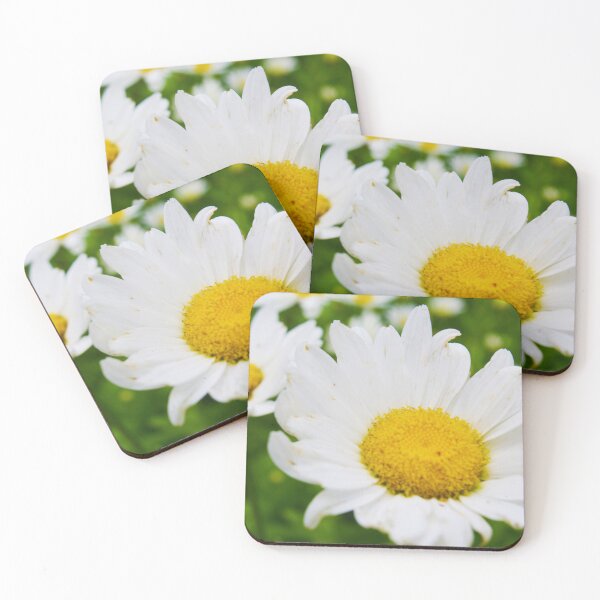 Item preview, White Oxeye Daisy Flowers Photography designed and sold by ThePhotograph03.