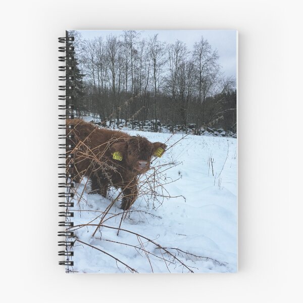 Item preview, Scottish Highland Cattle Calf 1602 designed and sold by SaarelaHighland.