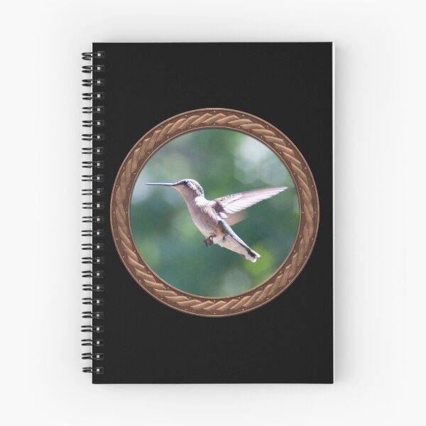 Item preview, Ruby-Throated Hummingbird Photography in Celtic Circle Frame designed and sold by Swabcraft.