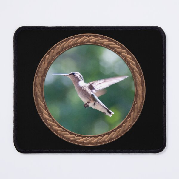 Item preview, Ruby-Throated Hummingbird Photography in Celtic Circle Frame designed and sold by Swabcraft.