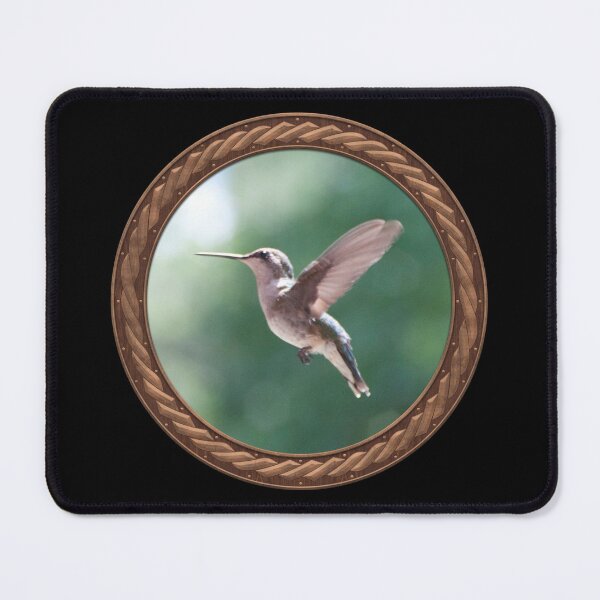 Item preview, Ruby-Throated Hummingbird Photography in Celtic Circle Frame 3 designed and sold by Swabcraft.