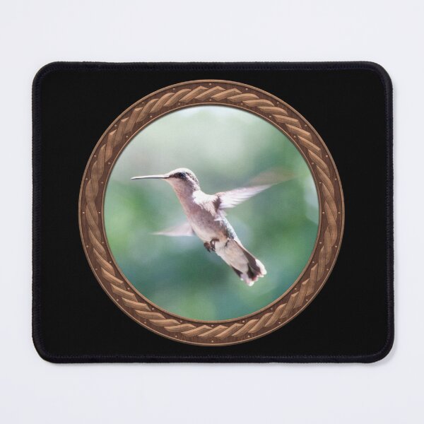 Item preview, Ruby-Throated Hummingbird Photography in Celtic Circle Frame 4 designed and sold by Swabcraft.