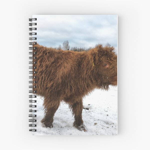 Item preview, Scottish Highland Cattle Calf 1610 designed and sold by SaarelaHighland.