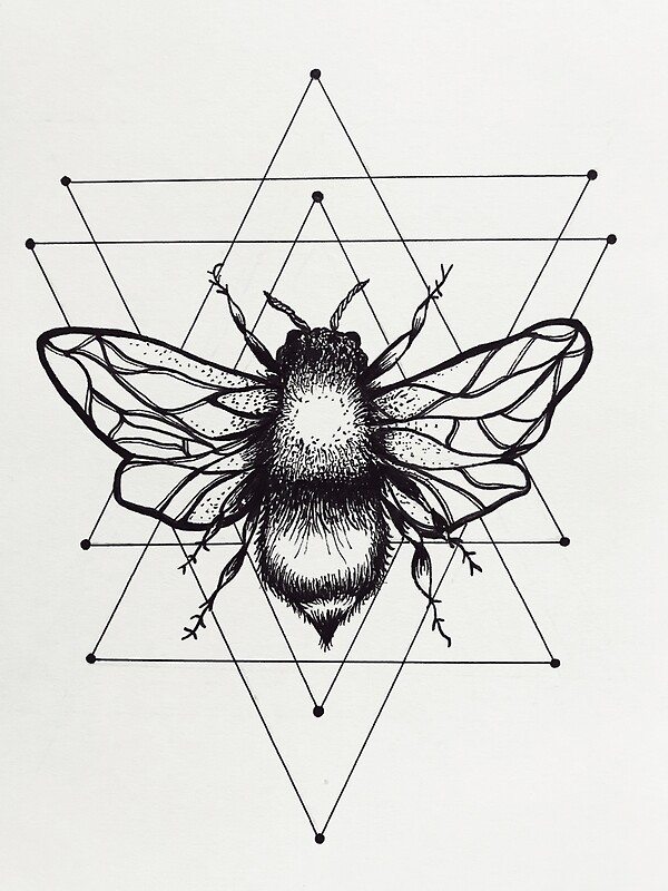 flying. geometrics. pattern. wings. star. line work. bumblebee. pen. ink. f...