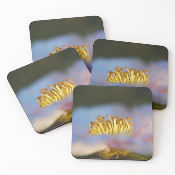 Item preview, Camellia Flower In Golden Hour designed and sold by Joy Watson - Natural Light Photography .