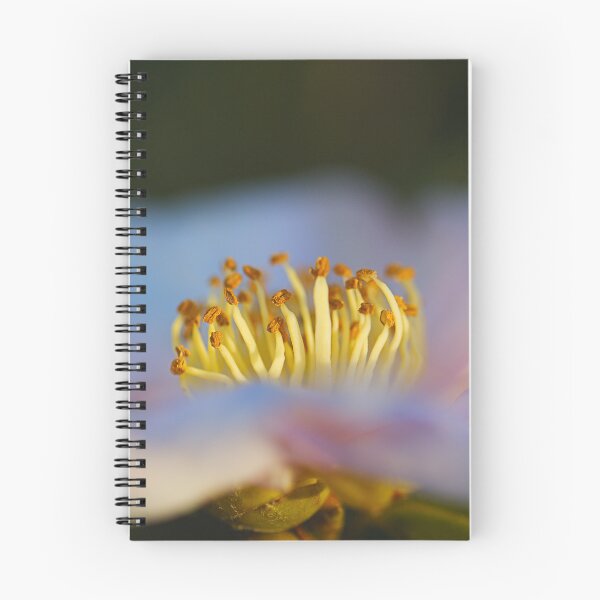 Item preview, Camellia Flower In Golden Hour designed and sold by Joy Watson - Natural Light Photography .