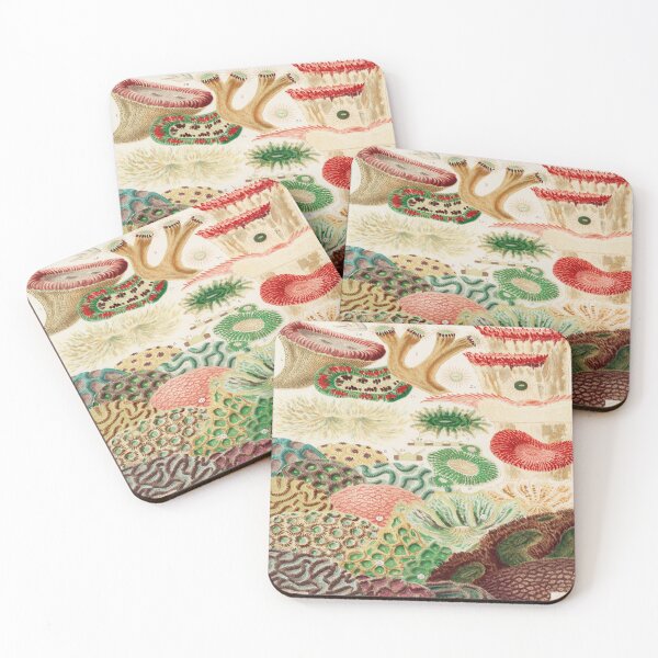 Item preview, Great Barrier Reef Corals  by William Saville Kent -the great barrier reef of Australia, designed and sold by Tamas Das.