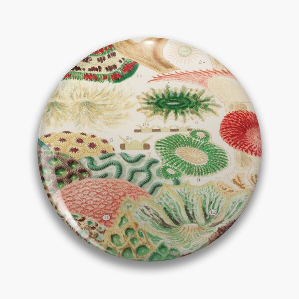 Item preview, Great Barrier Reef Corals  by William Saville Kent -the great barrier reef of Australia, designed and sold by Tamas Das.