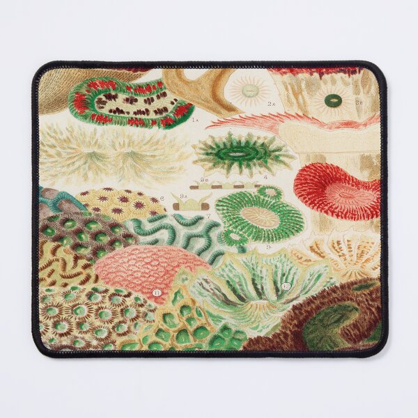 Item preview, Great Barrier Reef Corals  by William Saville Kent -the great barrier reef of Australia, designed and sold by Tamas Das.