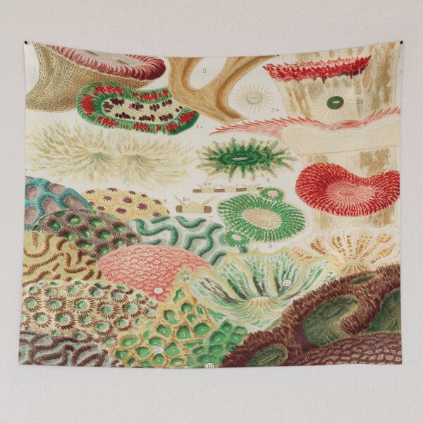 Item preview, Great Barrier Reef Corals  by William Saville Kent -the great barrier reef of Australia, designed and sold by Tamas Das.