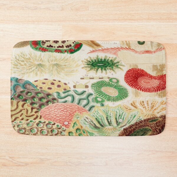 Item preview, Great Barrier Reef Corals  by William Saville Kent -the great barrier reef of Australia, designed and sold by Tamas Das.