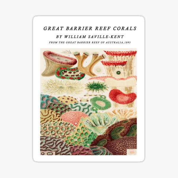 Artikel-Vorschau von Korallen des Great Barrier Reef von William Saville Kent - das Great Barrier Reef von Australien,, designt und verkauft von Tamas Das.