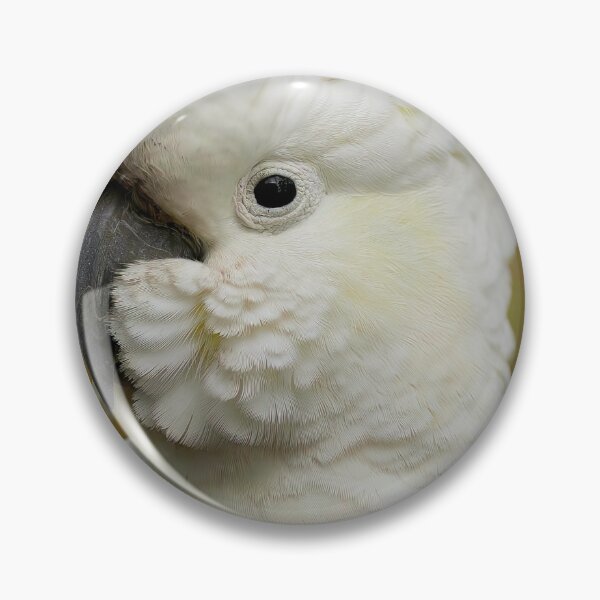 Item preview, A Little Dirty designed and sold by CBoyle.