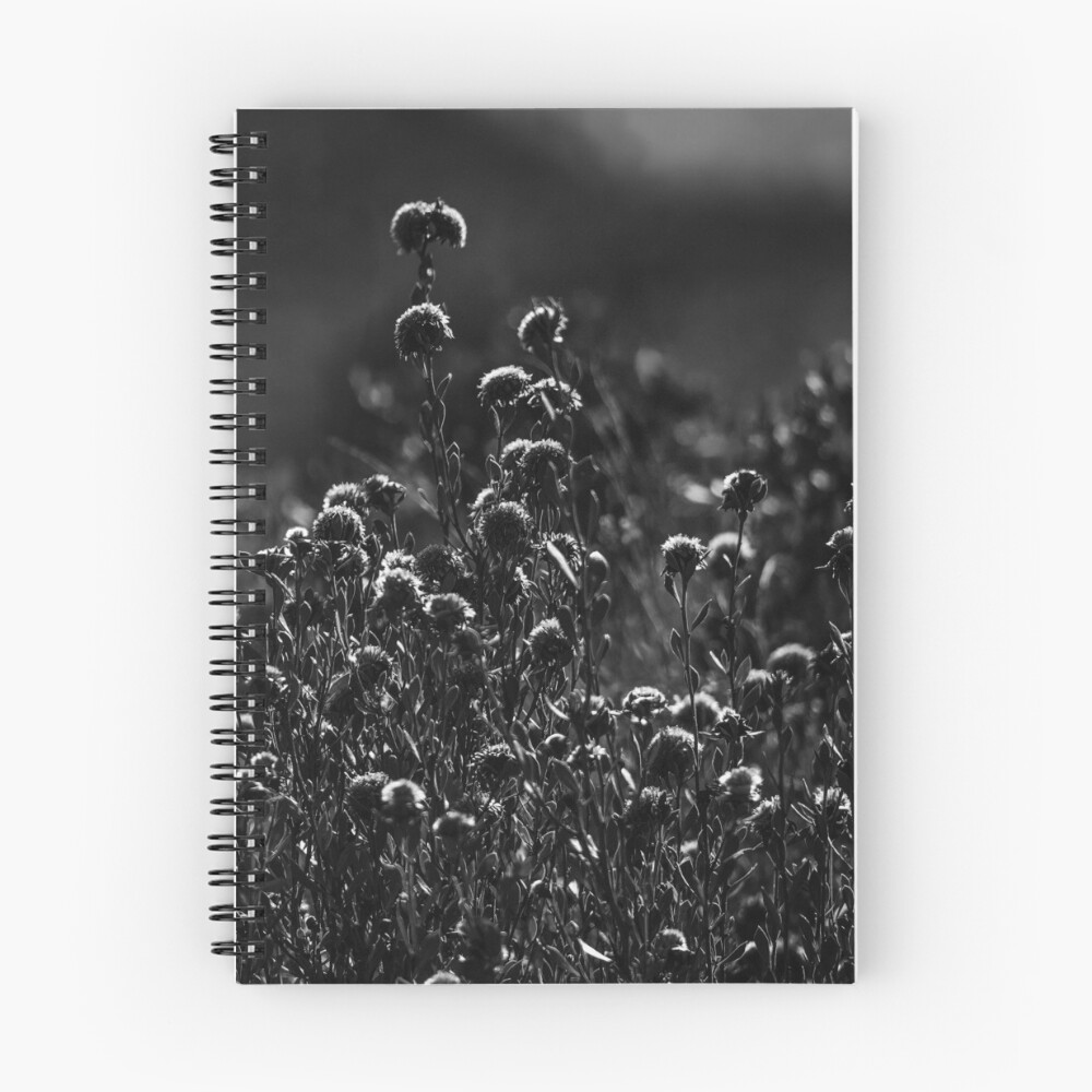 Item preview, Spiral Notebook designed and sold by RalphGoldsmith.