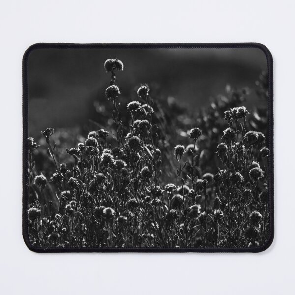 Item preview, Light Catchers designed and sold by Ralph Goldsmith.