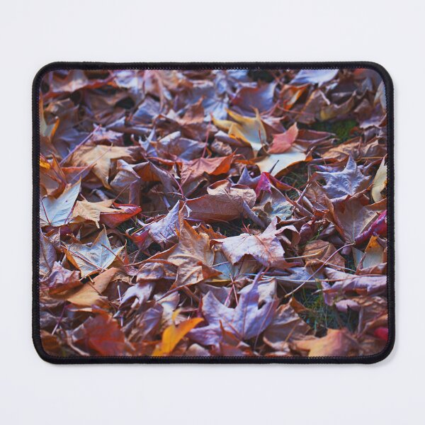 Item preview, Drying Out Autumn Leaves designed and sold by Joy Watson - Natural Light Photography .