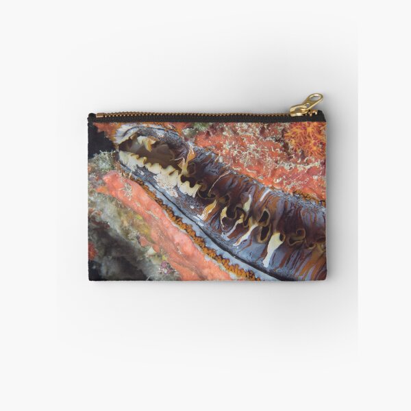 Item preview, Oyster Mantle designed and sold by Mark Rosenstein.