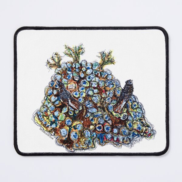 Item preview, Chokkie the Nudibranch designed and sold by Wildcard-Sue.
