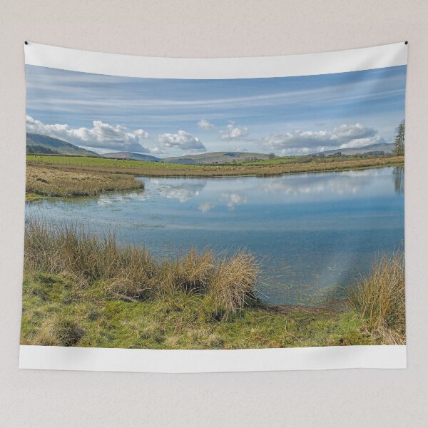 Item preview, Pond on Mynydd Illtyd Common Brecon Beacons designed and sold by Cameranick.
