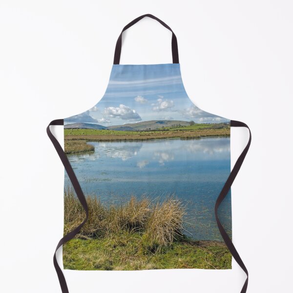 Item preview, Pond on Mynydd Illtyd Common Brecon Beacons designed and sold by Cameranick.