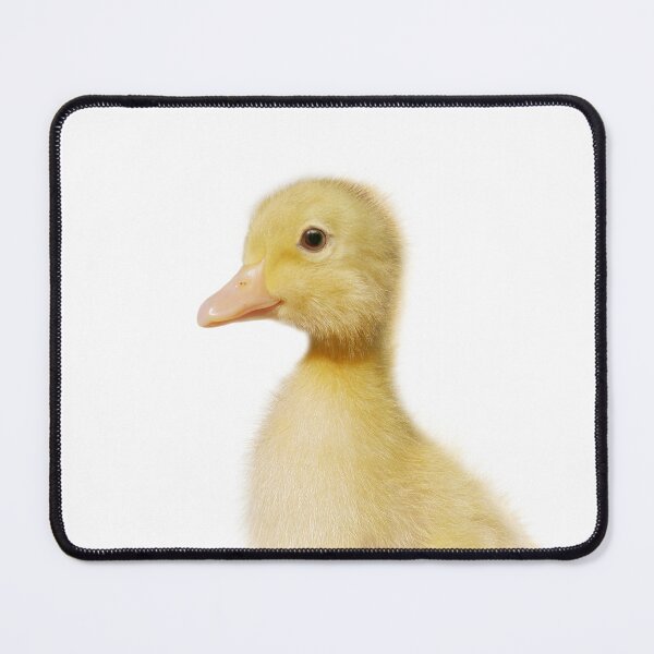Item preview, Baby Duckling Art Print by Zouzounio Art designed and sold by zouzounioart.