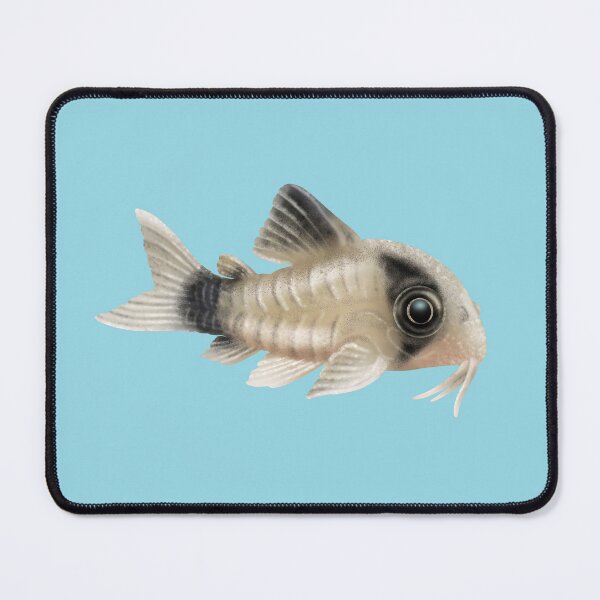 Item preview, Panda Corydoras by Maxine Gadd designed and sold by Maxine Gadd.