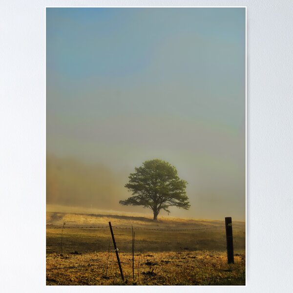 Item preview, Foggy Tree designed and sold by Jason  Burris.