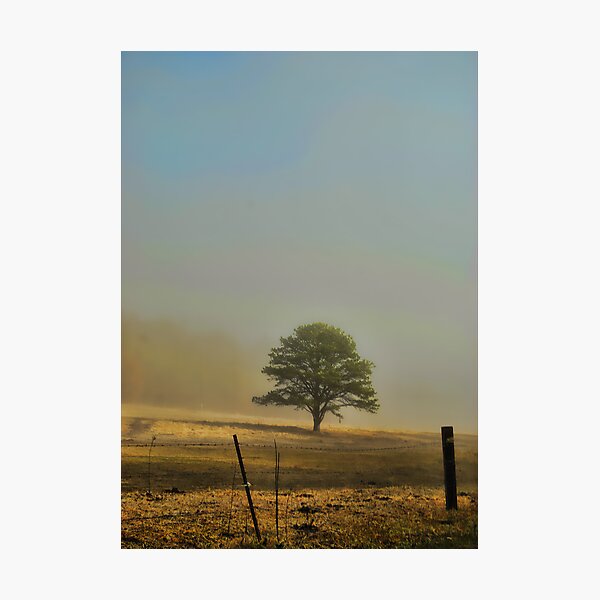 Artikelvorschau, Foggy Tree entworfen und verkauft von Jason  Burris.