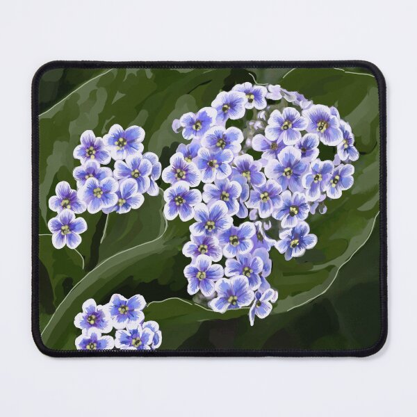 Item preview, Chatham Island Forget me not, Kopakopa designed and sold by carole hirst.