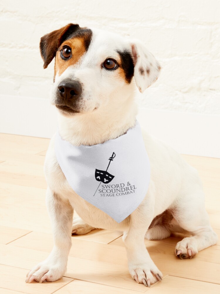 Denver Broncos Pet Bandana Collar