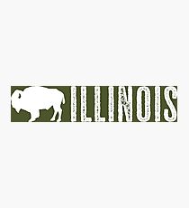 Bison: Illinois Photographic Print
