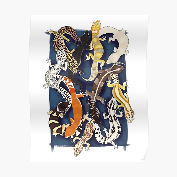 Gecko overdrive Poster
