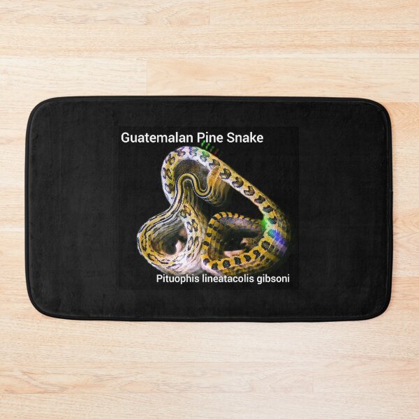 Item preview, Guatemalan Pine Snake Pituophis lineaticolis gibsoni designed and sold by StrangeFetish.