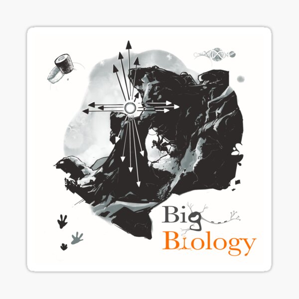 Item preview, Mutation bias designed and sold by BigBiology.