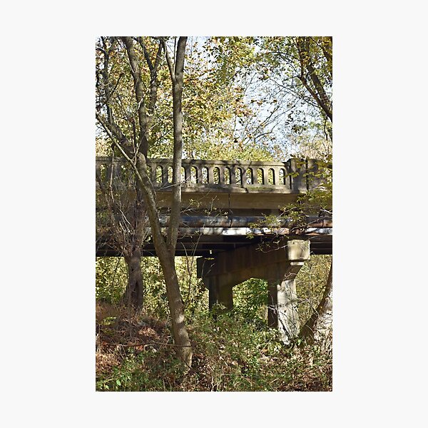 Item preview, Bridge in the Woods designed and sold by bertsworks300.