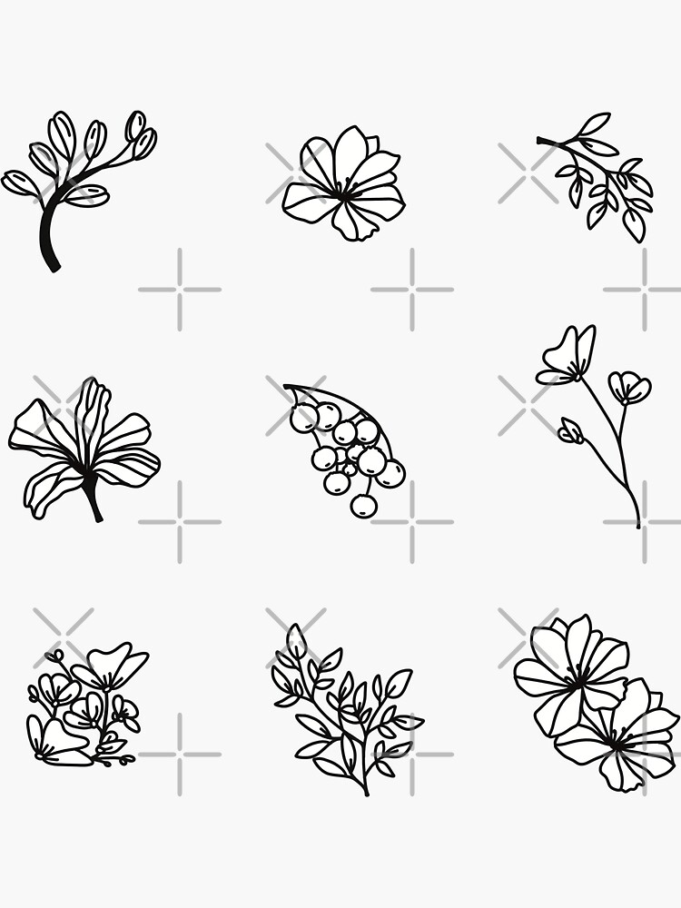 Set of Flowers Phlox and Leaves. Botanical Illustration. Hand Drawn Vector  Drawing Stock Vector - Illustration of abstract, garden: 183254400