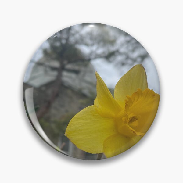 Item preview, Daffodils by the Observatory designed and sold by Pisces-Pics.
