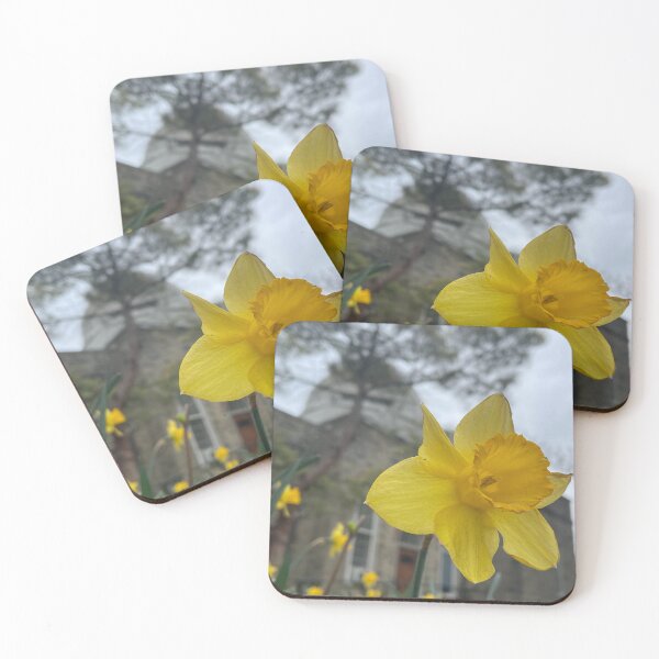 Item preview, Daffodils by the Observatory designed and sold by Pisces-Pics.