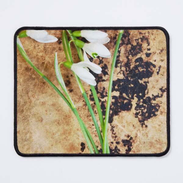 Item preview, Won't Need Your Love designed and sold by Denise Abé.