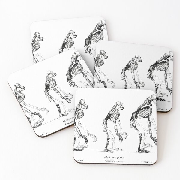 Item preview, Evolution designed and sold by IlluminatedPage.