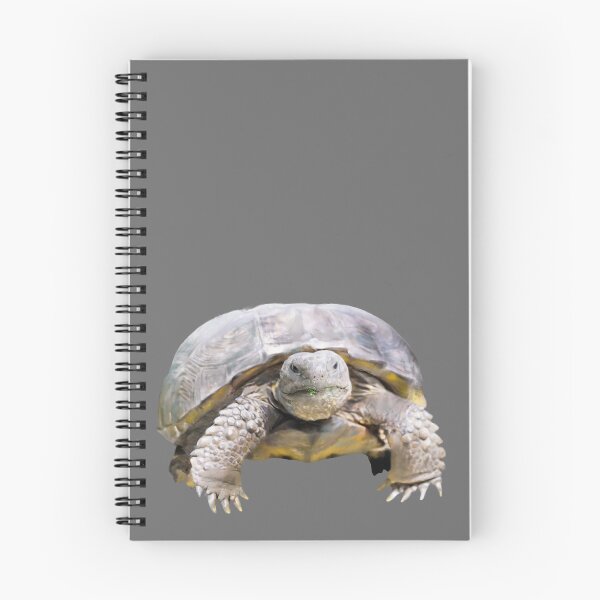 Artikelvorschau, Gopher-Schildkröte | Schildkröte | Florida | Schildkröte entworfen und verkauft von AlyCastelluccio.