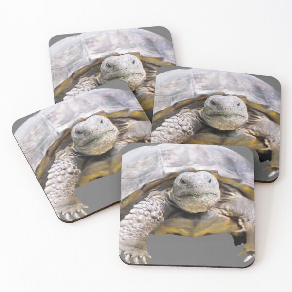 Item preview, Gopher Tortoise | Tortoise | Florida | Turtle designed and sold by AlyCastelluccio.