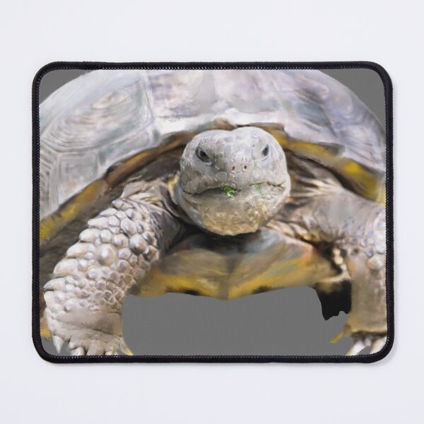Item preview, Gopher Tortoise | Tortoise | Florida | Turtle designed and sold by AlyCastelluccio.