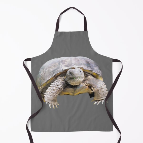 Item preview, Gopher Tortoise | Tortoise | Florida | Turtle designed and sold by AlyCastelluccio.
