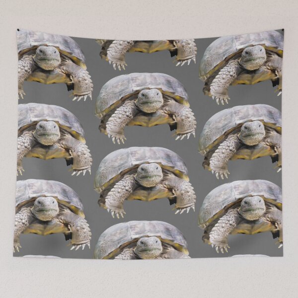 Item preview, Gopher Tortoise | Tortoise | Florida | Turtle designed and sold by AlyCastelluccio.