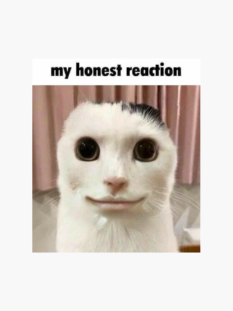 My Honest Reaction My Honest Reaction Meme Sticker - My honest